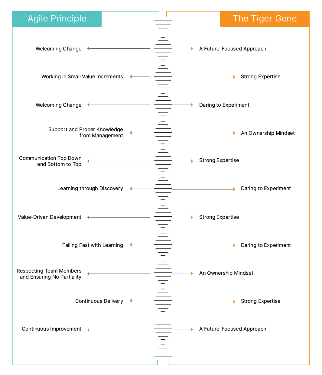 Agile-article-infographics